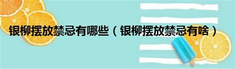 銀柳擺放位置|銀柳風水2023：哪些位置最旺財運？